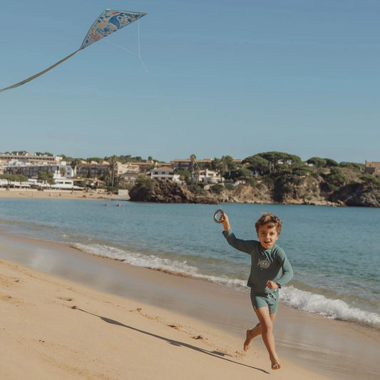 Little Dutch Diamond Kite Ocean World