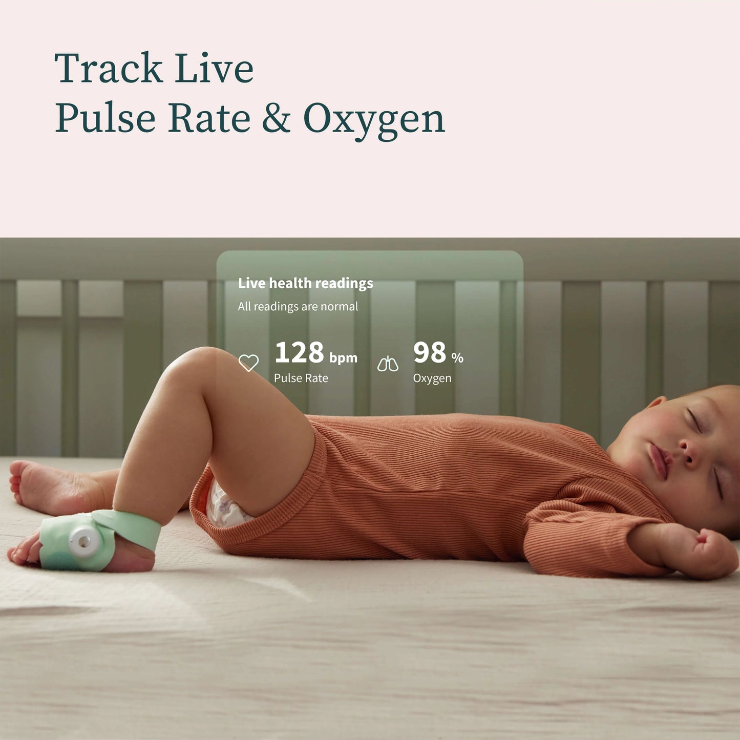 Owlet Dream Sock and Cam 2 Bundle