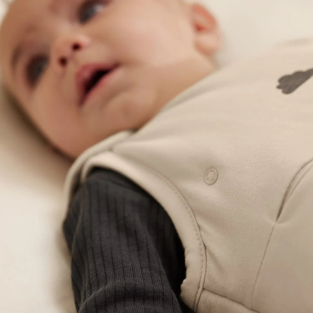 SnüzPouch Sleeping Bag 2.5T - Sand Cloud