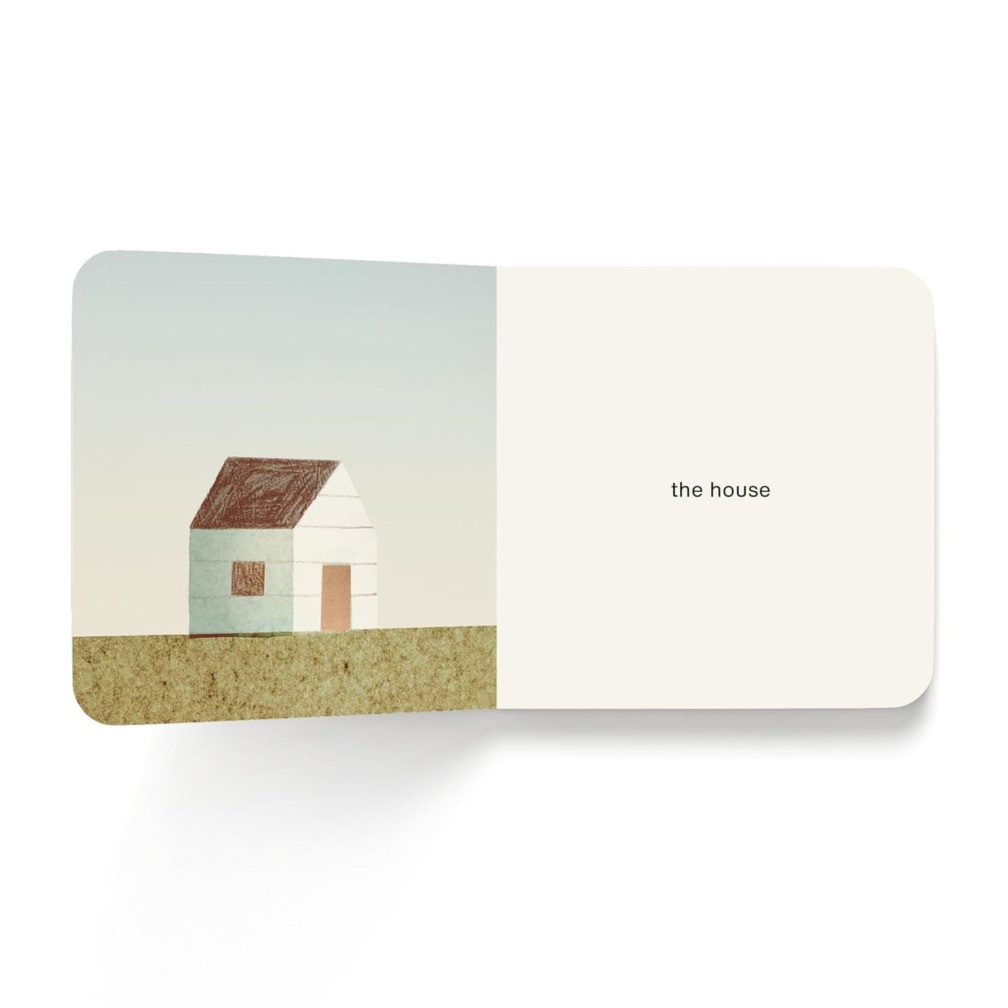 Now I See Summer Board Book