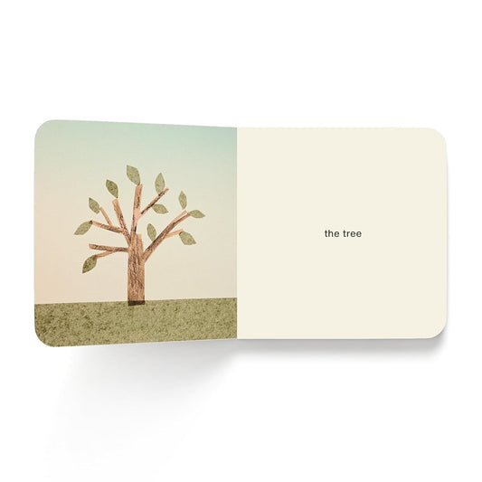 Now I See Summer Board Book