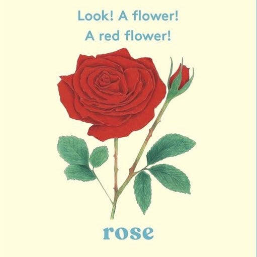 Look a Flower Board Book