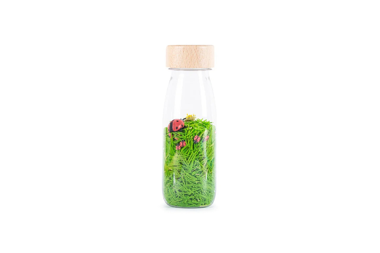 Petit Boum Sensory Bottle -Sound Ladybirds