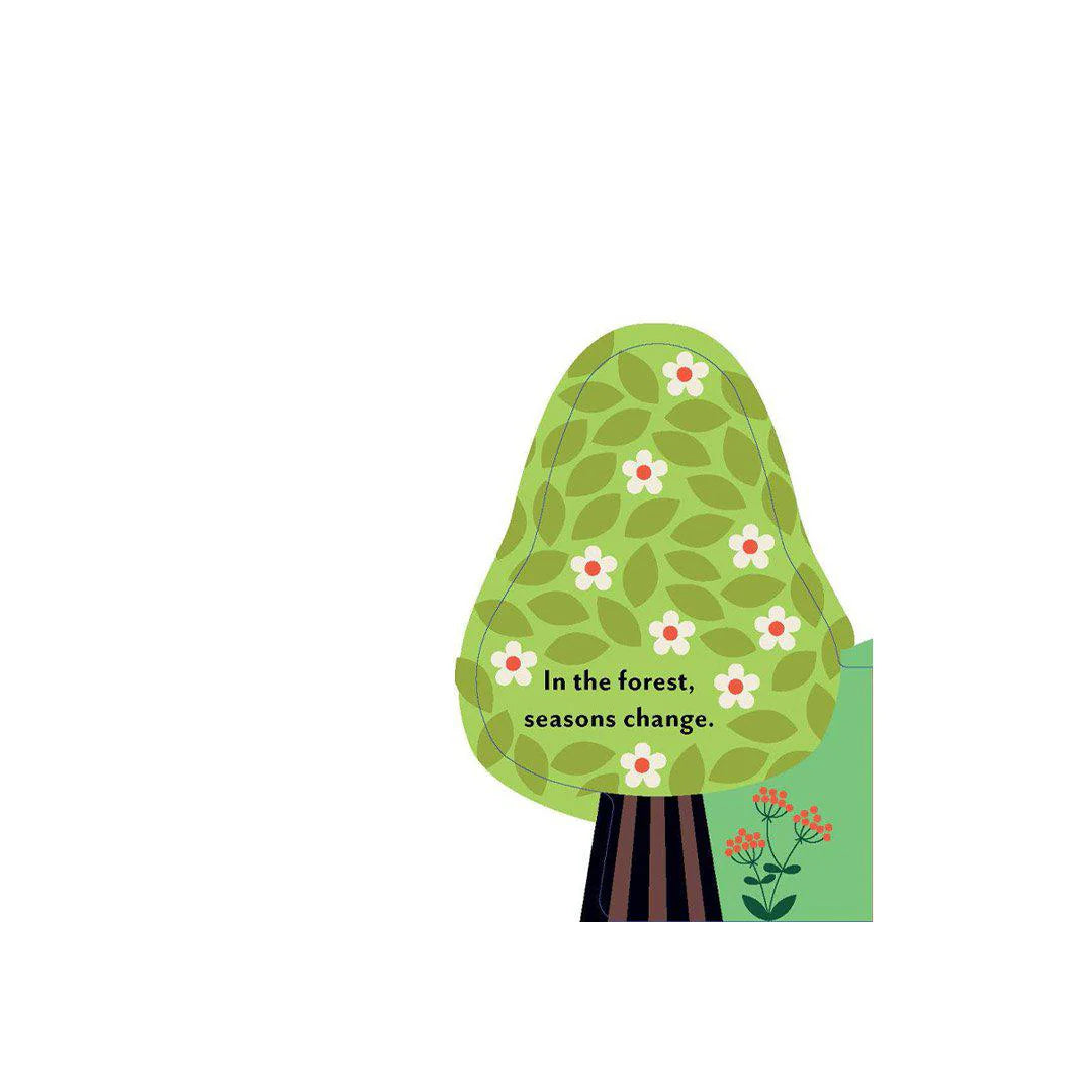 A Forest's Seasons Board Book