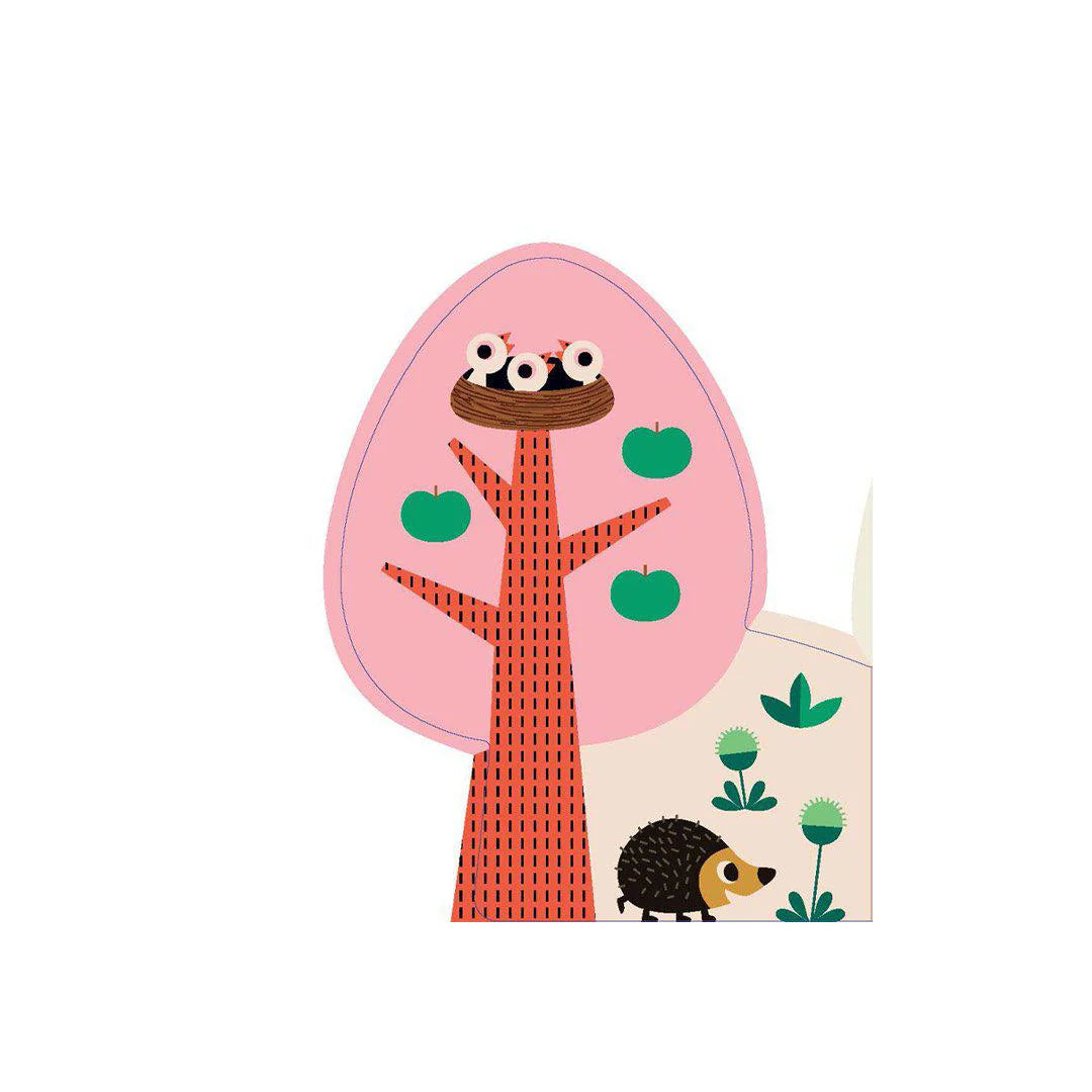 A Forest's Seasons Board Book