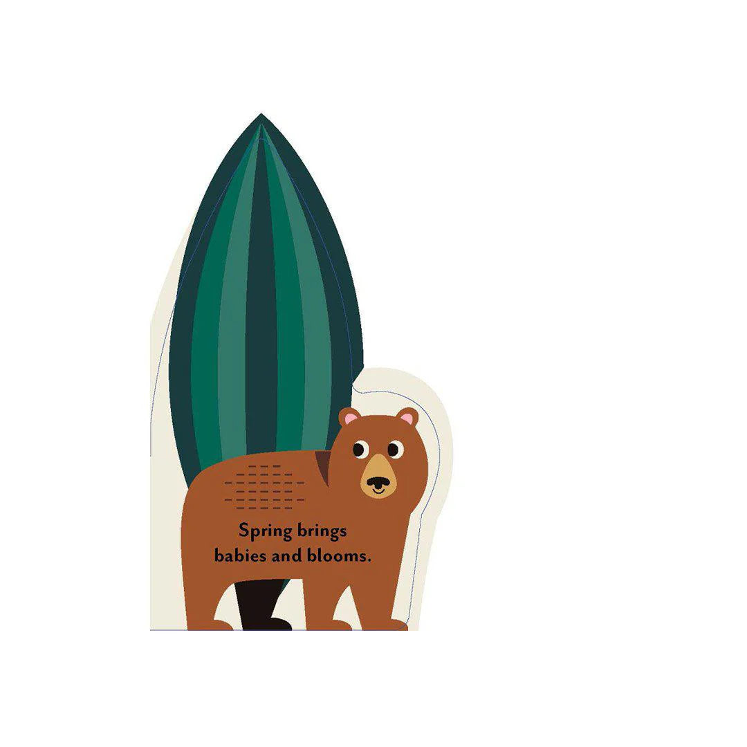 A Forest's Seasons Board Book