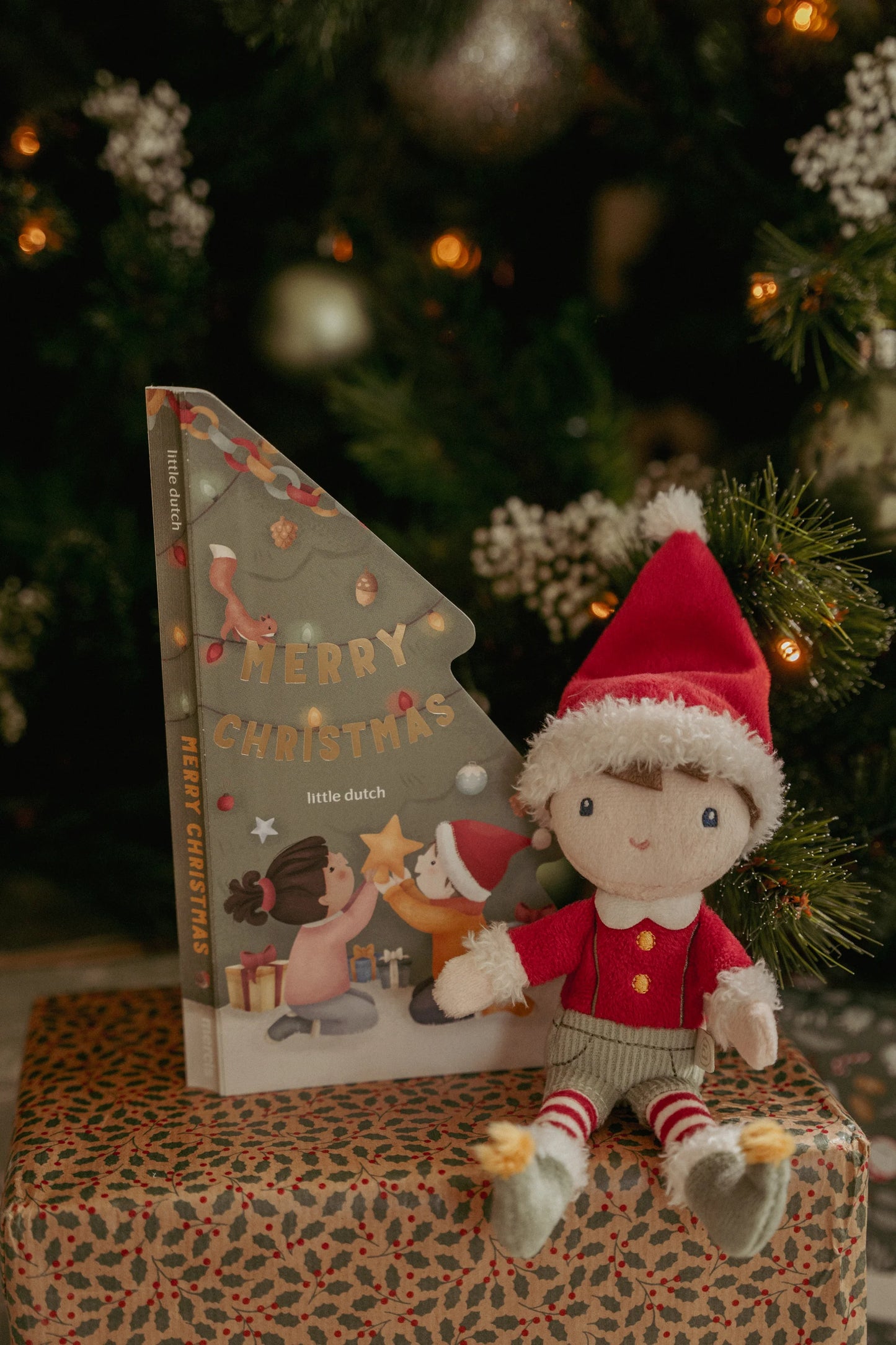 Little Dutch Christmas Book with Jim