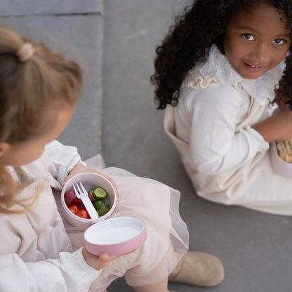 Little Dutch x Mepal Fruitbox 300ml - Fairy Garden