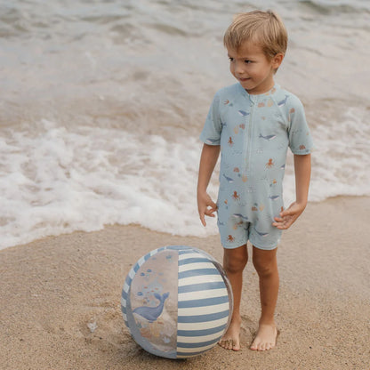 Little Dutch Beach Ball - Ocean World