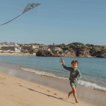 Little Dutch Diamond Kite Ocean World