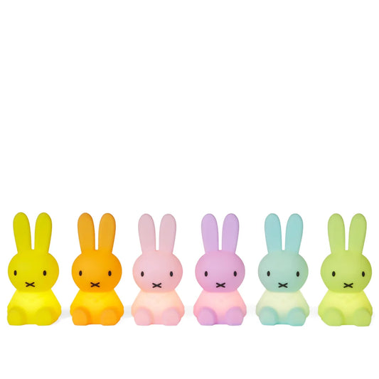 Mr. Maria Miffy Bundle Of Light Colourful Surprise