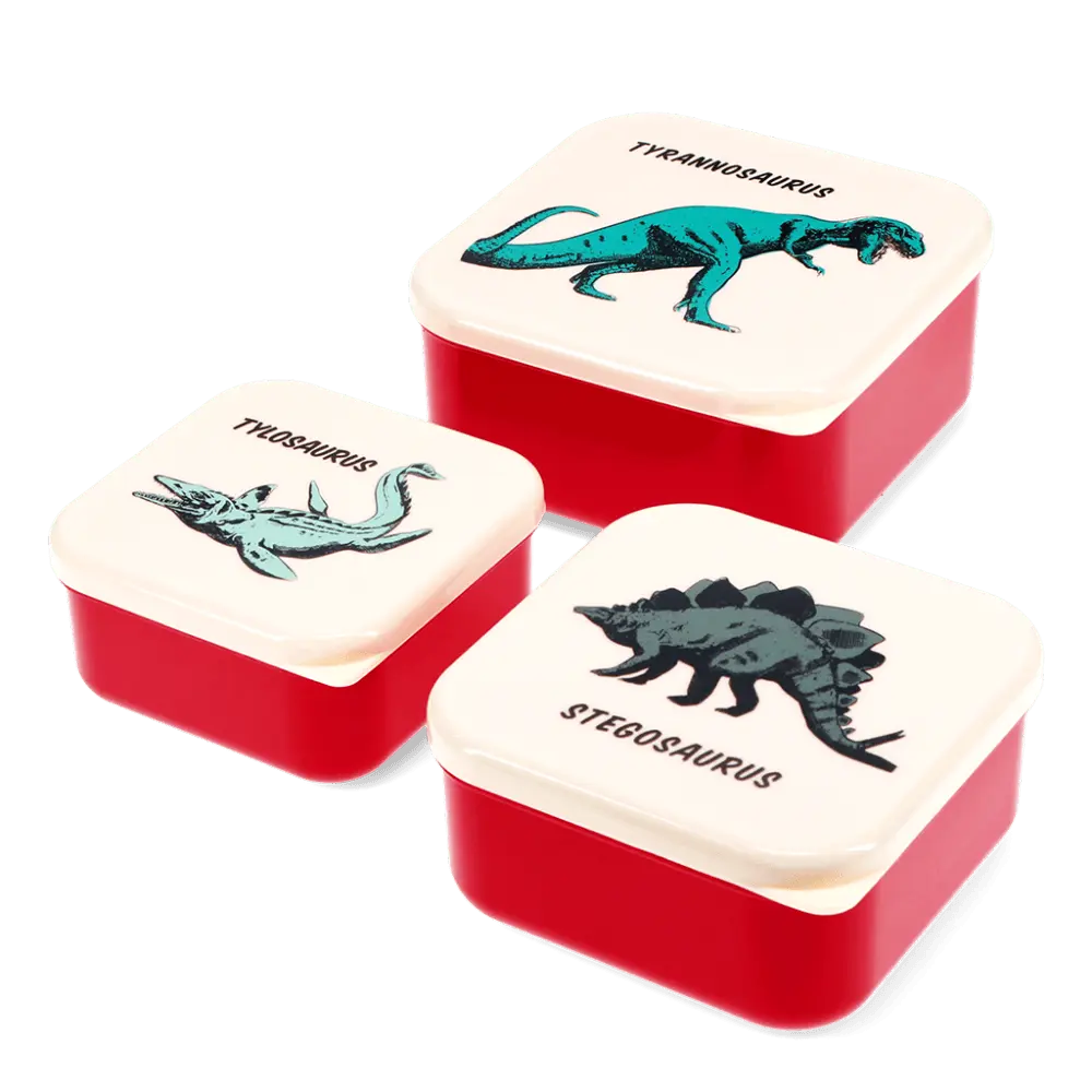 Rex London Snack Boxes - Prehistoric Land