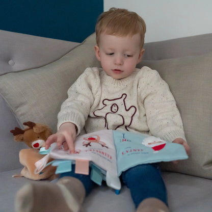 Ziggle Christmas Counting Soft Book