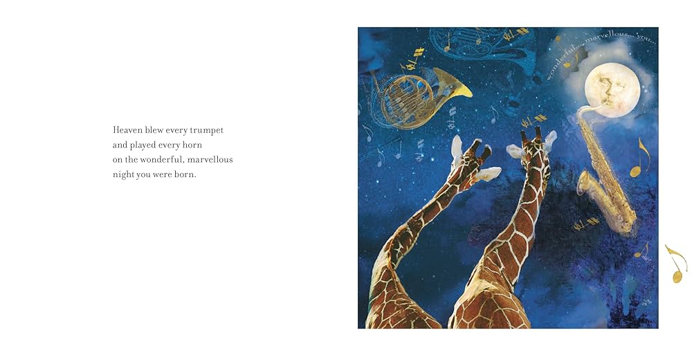 On The Night You Were Born Board Book