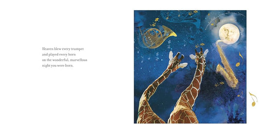 On The Night You Were Born Board Book
