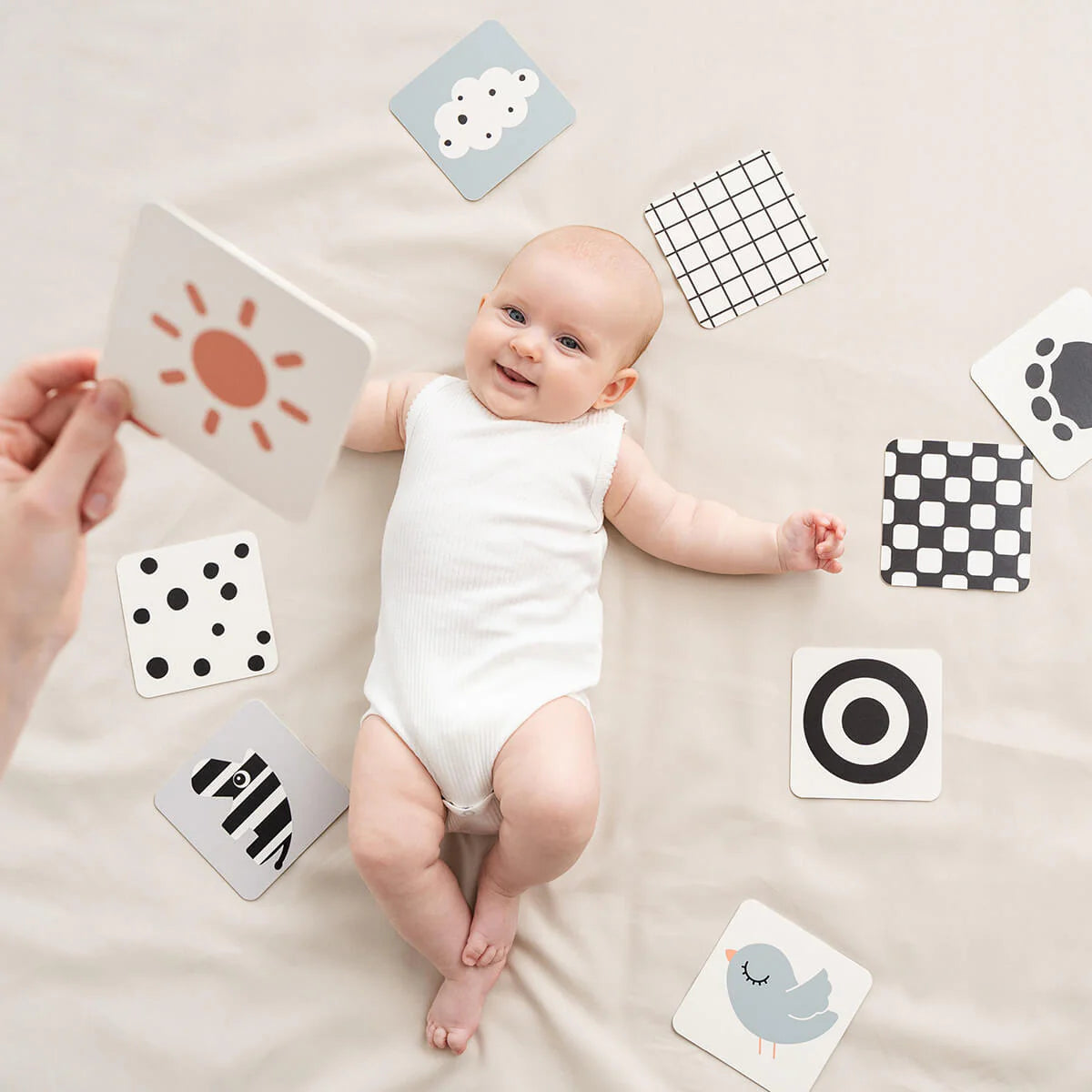 Done By Deer Baby Contrast Cards 10-pack - Elphee - Colour Mix