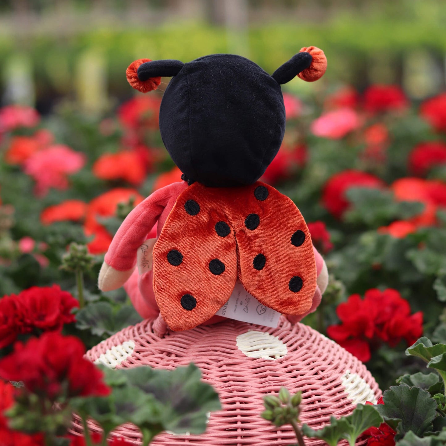 Olli Ella Dinky Dinkum Backyard Buddies - Lola Ladybug