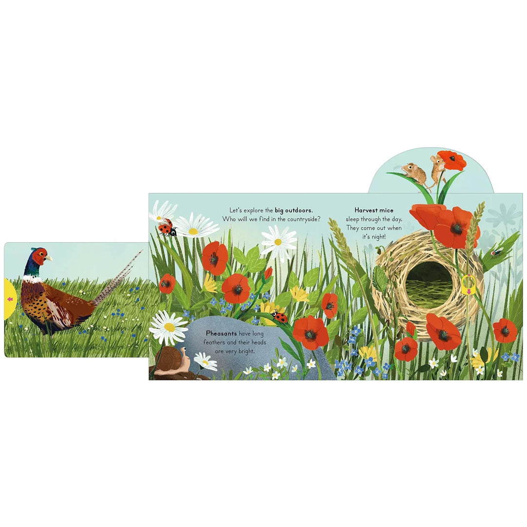 Big Outdoors For Little Explorers: Countryside Board Book