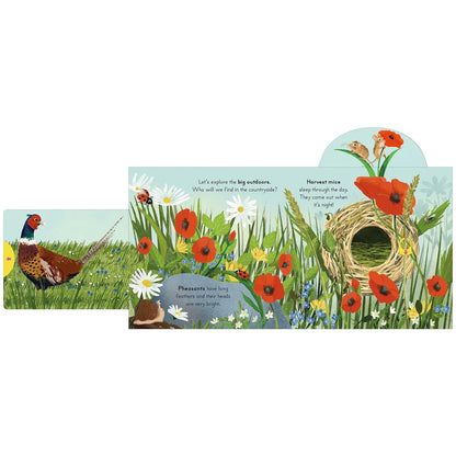 Big Outdoors For Little Explorers: Countryside Board Book