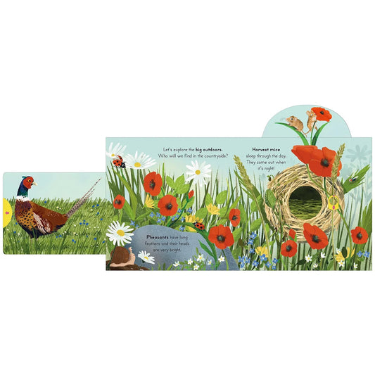 Big Outdoors For Little Explorers: Countryside Board Book