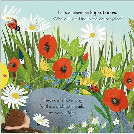 Big Outdoors For Little Explorers: Countryside Board Book