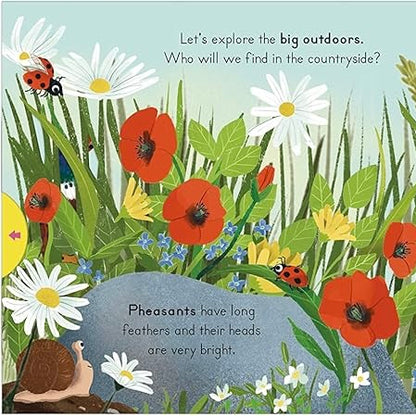 Big Outdoors For Little Explorers: Countryside Board Book
