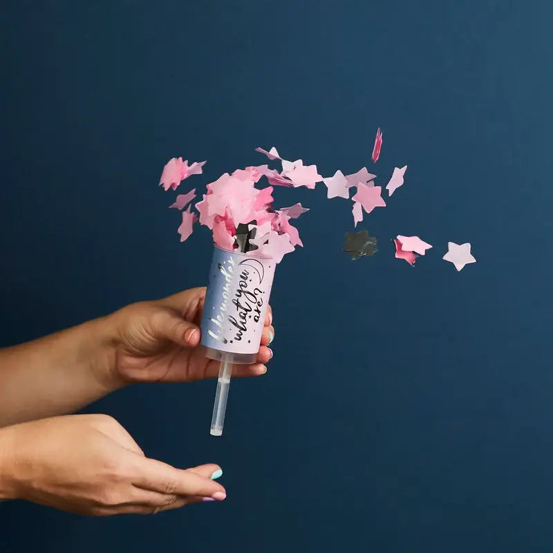 Hootyballoo Gender Reveal Confetti Push Pops (2 Pack)