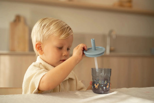 Little Dutch x Mepal Cup with Straw 250ml - Forest Friends