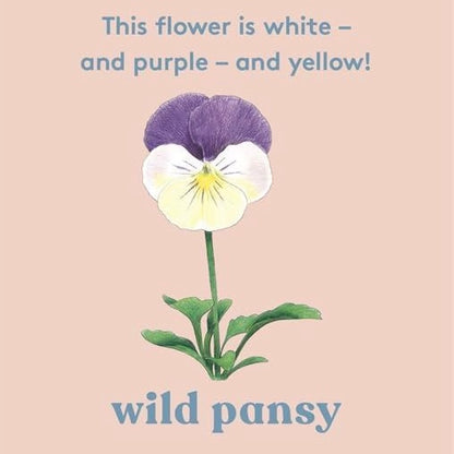 Look a Flower Board Book