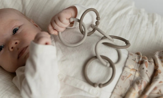Bibs Linking Loops - Blush/Woodchuck/Ivory