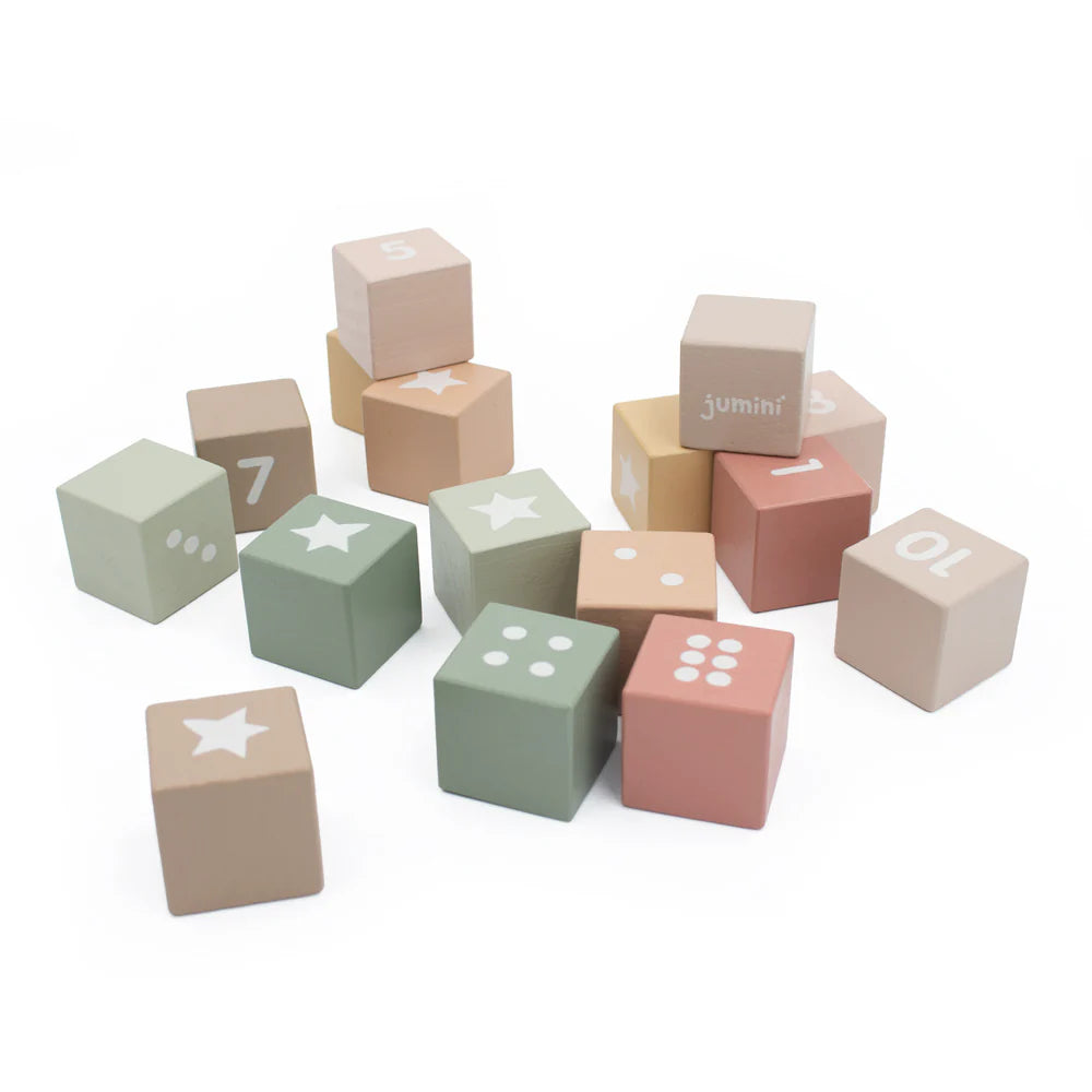 Jumini Wooden Number Block Set in Case