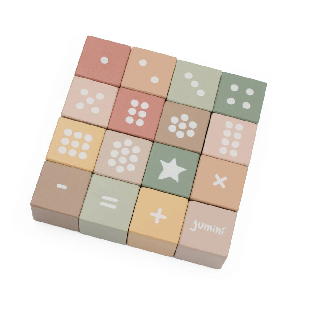 Jumini Wooden Number Block Set in Case