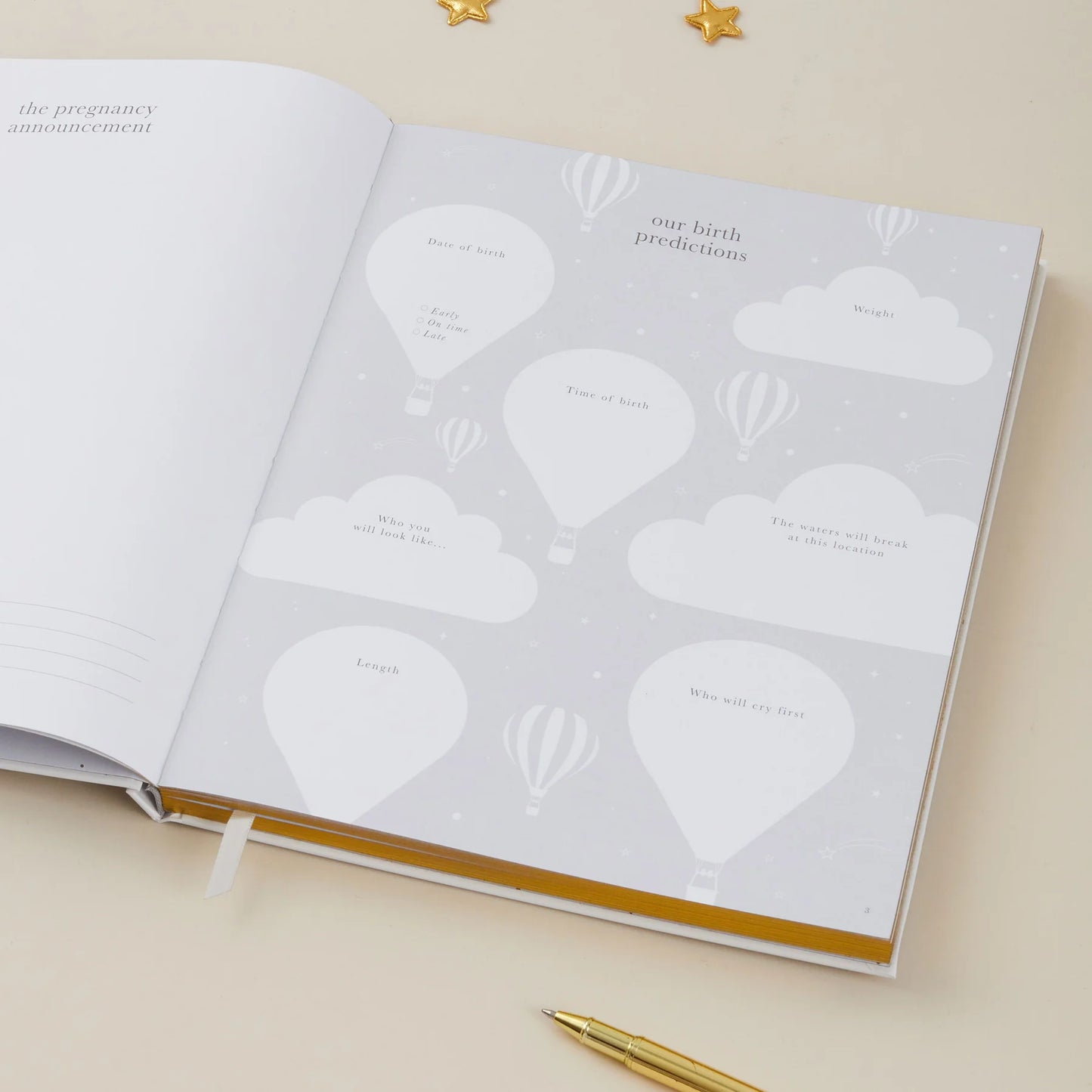 Blush and Gold Pregnancy Journal - Pearl