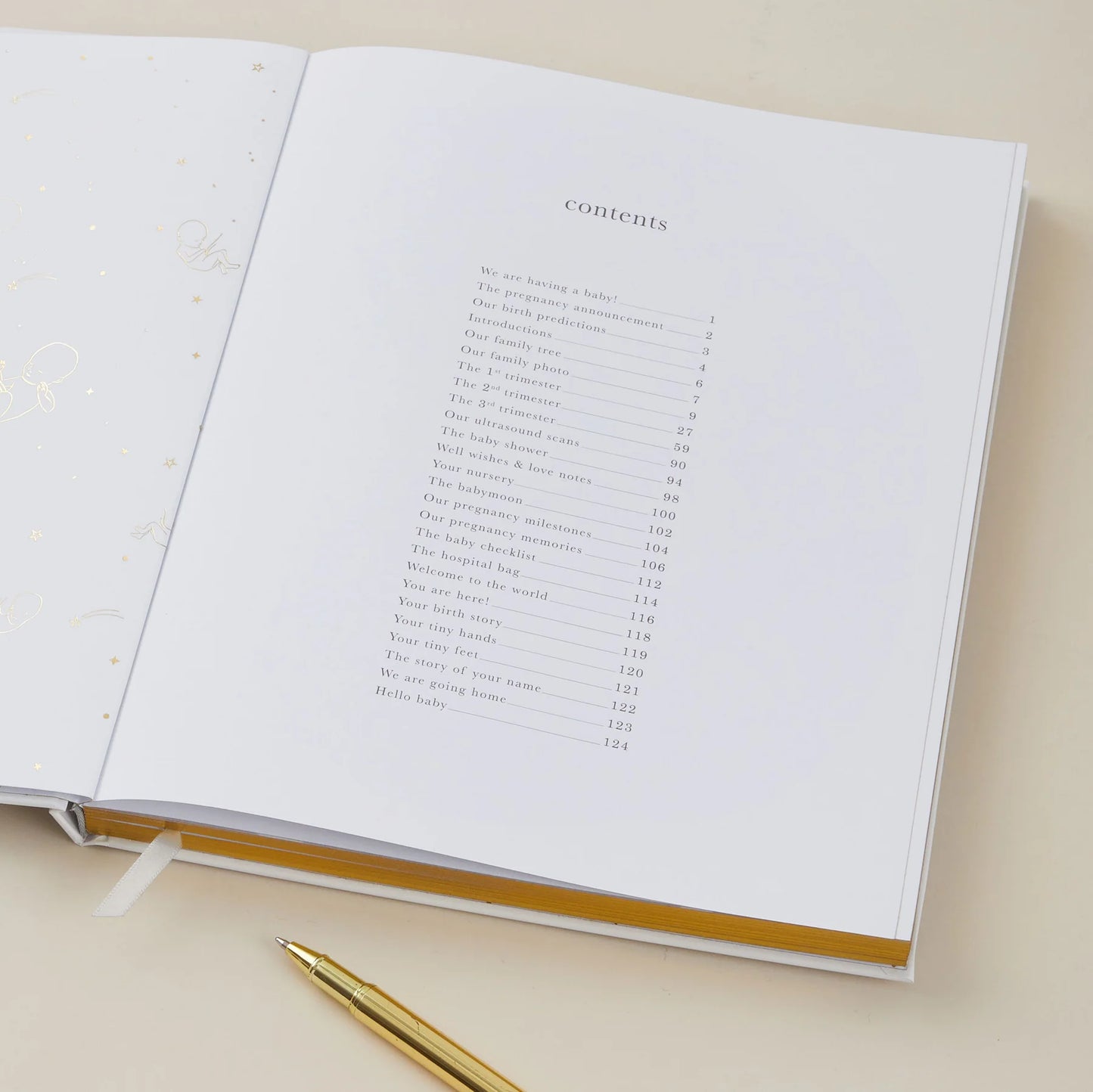 Blush and Gold Pregnancy Journal - Pearl