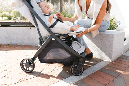 UPPAbaby Minu V3 - Savannah