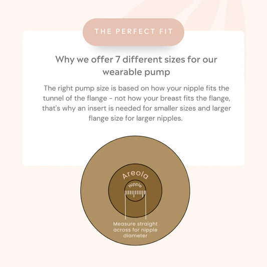 Fraupow Insert image 1