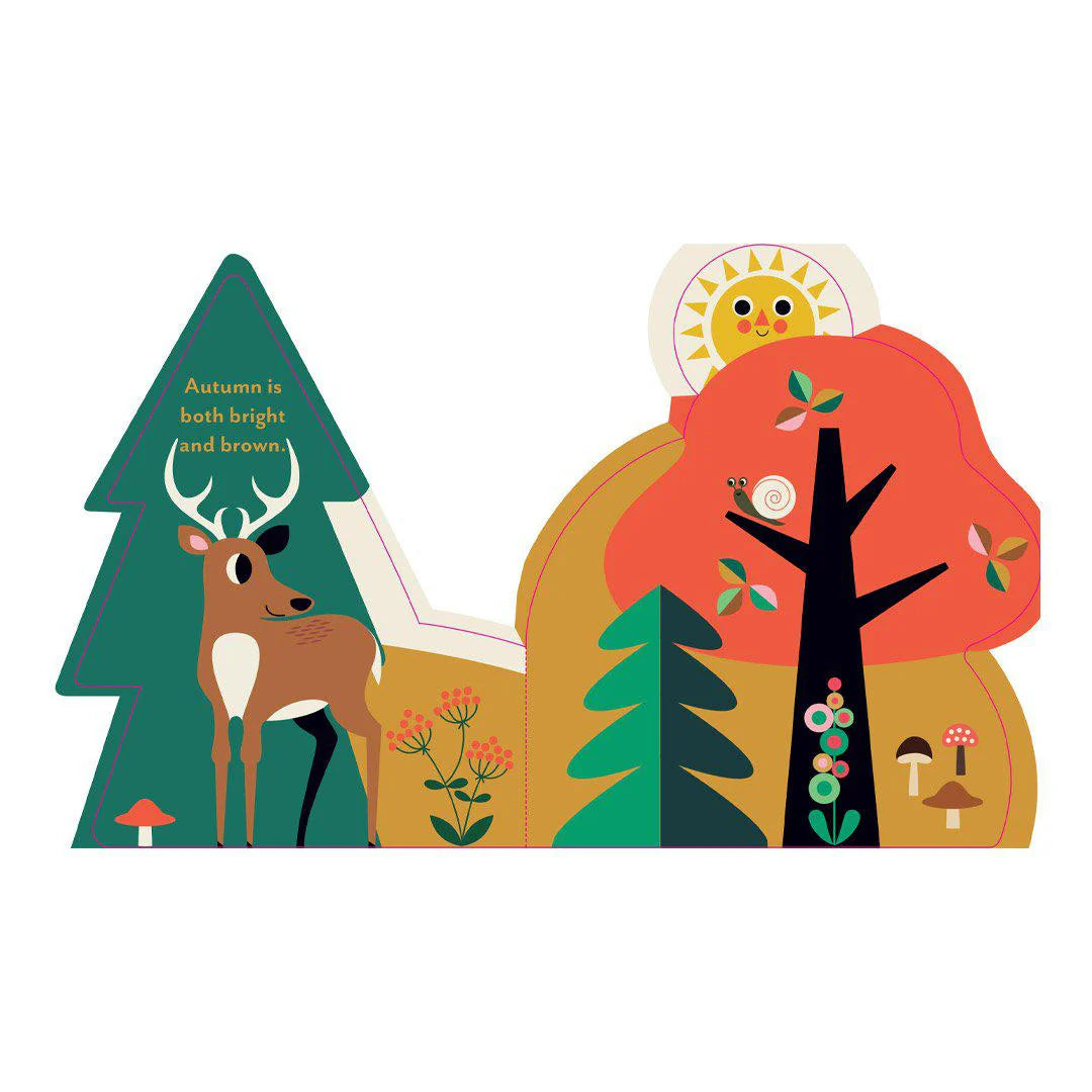 A Forest's Seasons Board Book
